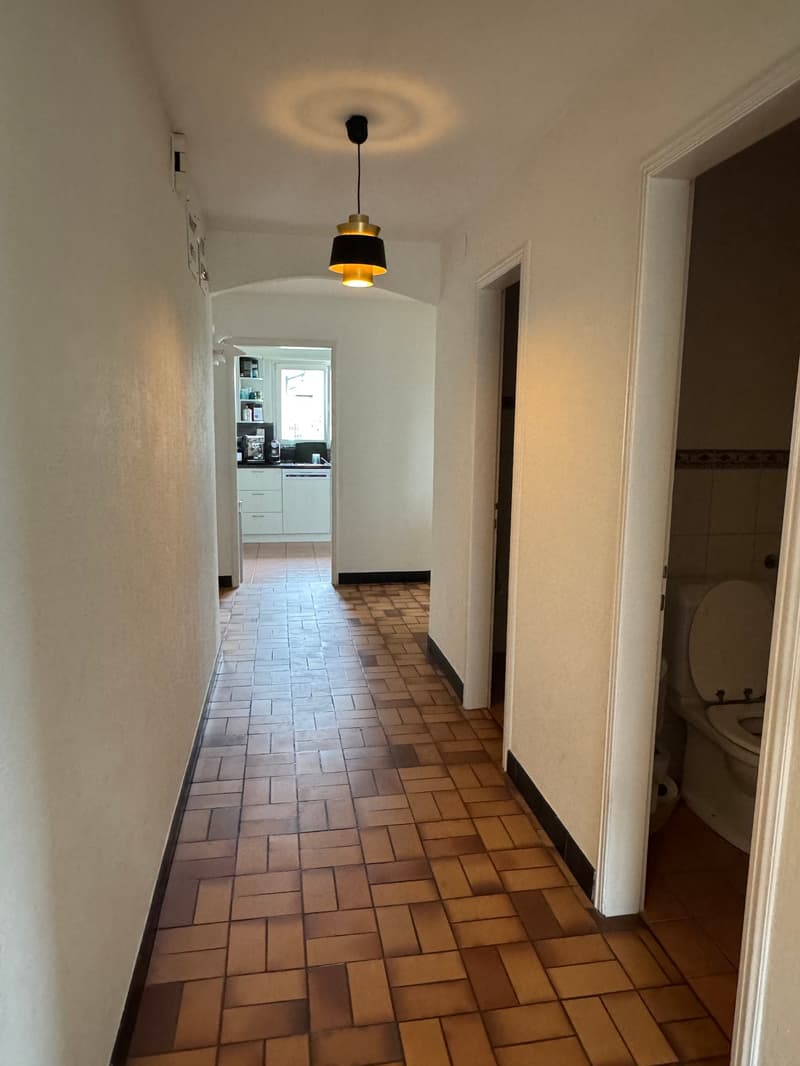 Grosszügige 8-Zimmer-Wohnung mit Balkon und wunderschöner Weitsicht (2)