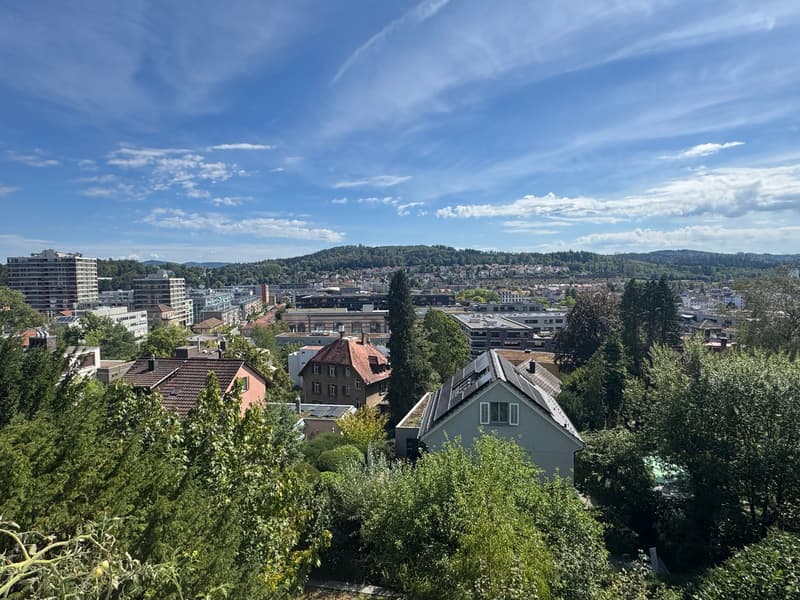Grosszügige 8-Zimmer-Wohnung mit Balkon und wunderschöner Weitsicht (10)
