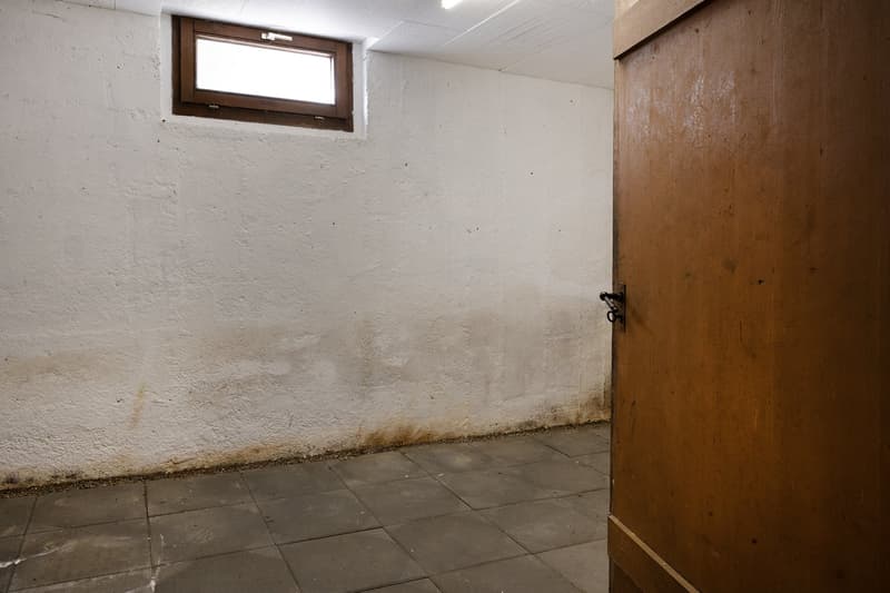 Älteres, freistehendes 5,5-Zimmer-Einfamilienhaus in Büsingen auf grossem Grundstück (20)