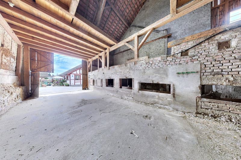 Interessante Bauernhausliegenschaft in Buchberg SH mit Baulandreserve (14)