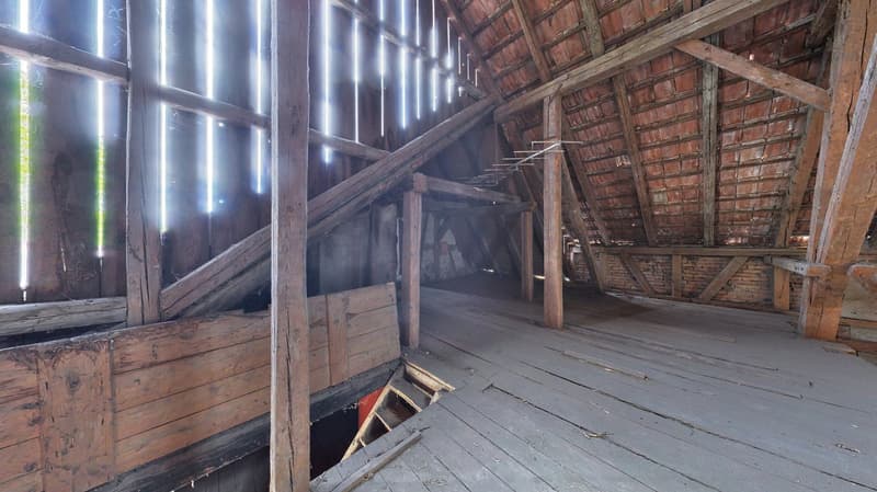Interessante Bauernhausliegenschaft in Buchberg SH mit Baulandreserve (13)