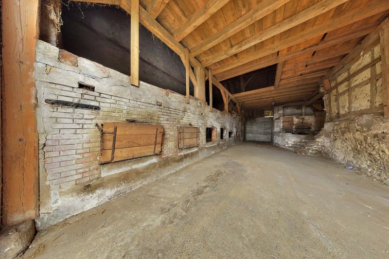 Buchberg SH: Bauernhaus mit attraktiver Baulandreserve (17)