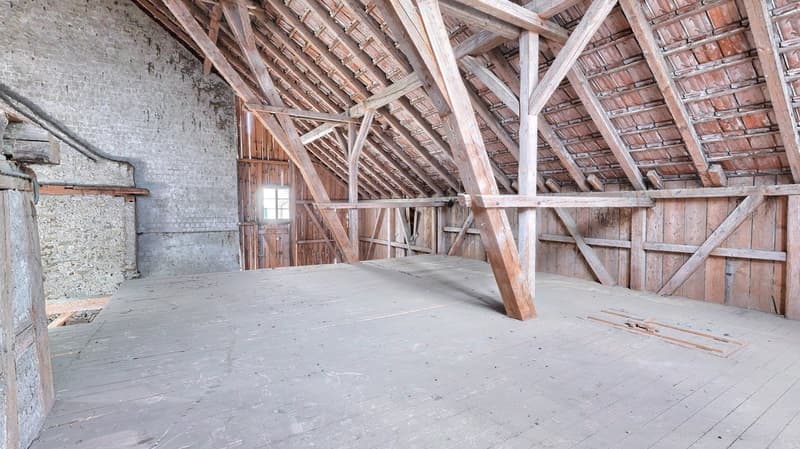 Buchberg SH: Bauernhaus mit attraktiver Baulandreserve (13)