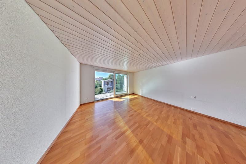 Grosszügiges 6½-Zimmer-Einfamilienhaus an ruhiger Lage in Winterthur-Hegi (11)