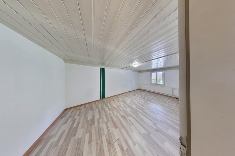 Viel mehr als ein Wohnhaus - ein Paradies für Handwerker, Sammler und Visionäre (15)