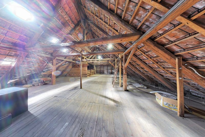 Viel mehr als ein Wohnhaus - ein Paradies für Handwerker, Sammler und Visionäre (18)