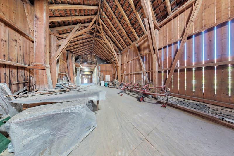 Viel mehr als ein Wohnhaus - ein Paradies für Handwerker, Sammler und Visionäre (27)
