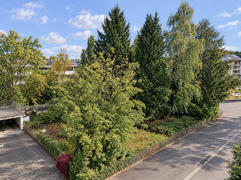1’128 m² Bauland in Winterthur – attraktives Potenzial für Neubauprojekt (4)