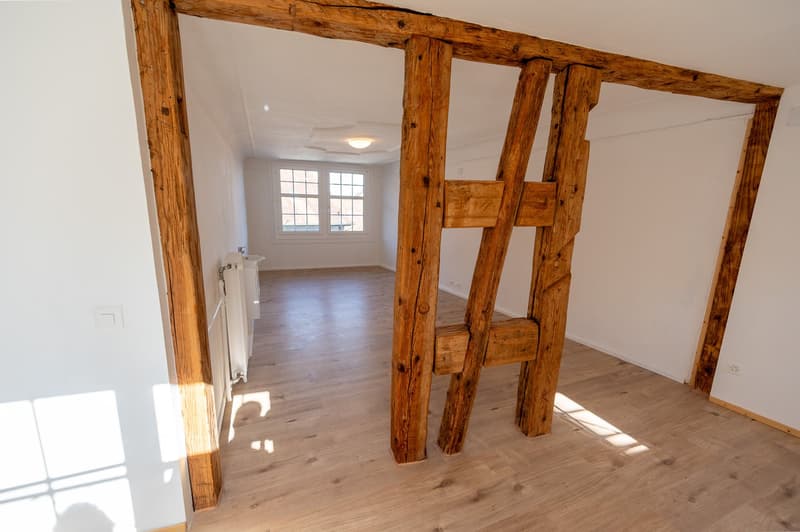 4-Zimmer-Wohnung mit Garten in idyllischer Lage – Stein am Rhein (2)