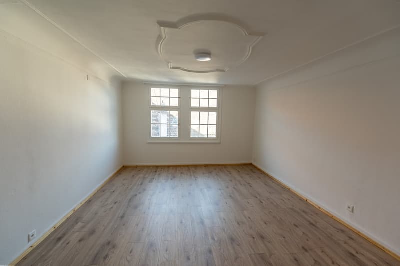 4-Zimmer-Wohnung mit Garten in idyllischer Lage – Stein am Rhein (5)