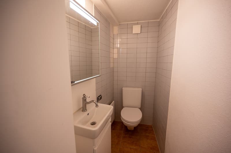 4-Zimmer-Wohnung mit Garten in idyllischer Lage – Stein am Rhein (8)