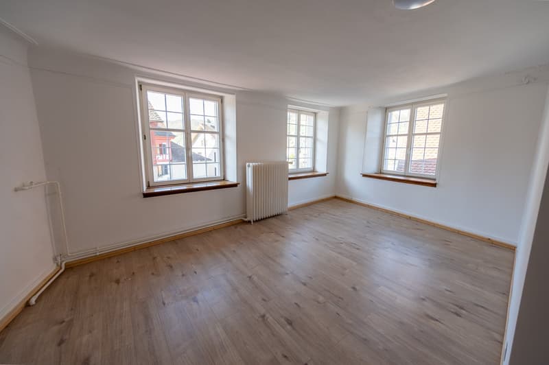 Charmante 2.5-Zimmer-Altbauwohnung in Stein am Rhein - frisch renoviert (2)