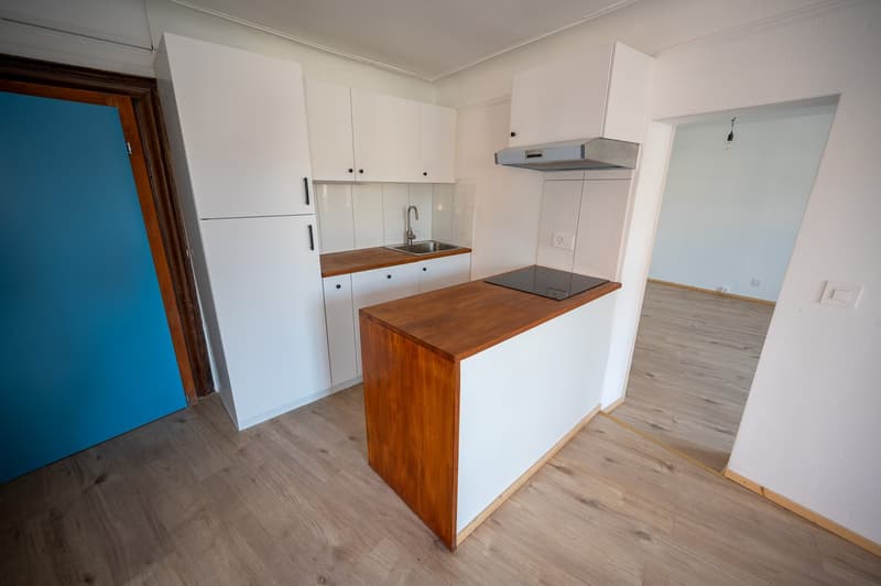 Charmante 2.5-Zimmer-Altbauwohnung in Stein am Rhein - frisch renoviert (3)