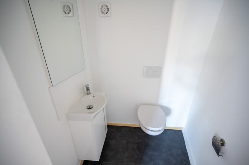 Charmante 2.5-Zimmer-Altbauwohnung in Stein am Rhein - frisch renoviert (8)