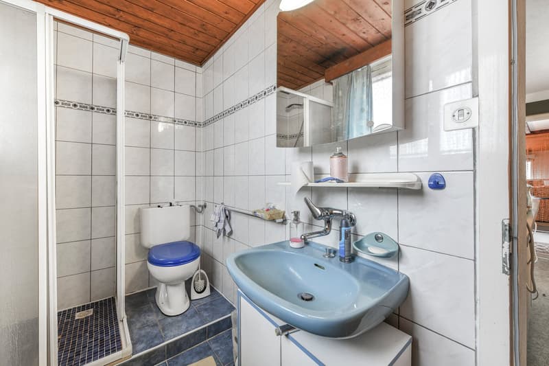 white tiled walls, blue floor, modern sink, shower, toilet, mirror, soap dispenser, shelf, wooden ceiling