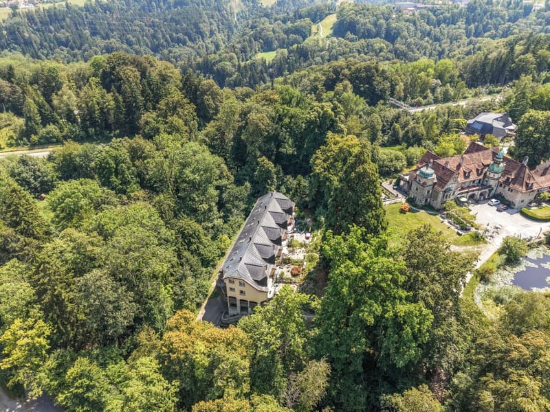6.5-Zimmer-Reiheneinfamilienhaus an attraktiver Lage mit viel Grünfläche (13)