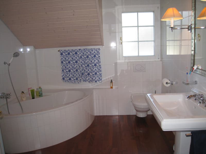 Magnifique propriété à Crassier/Superb property in Crassier (7)