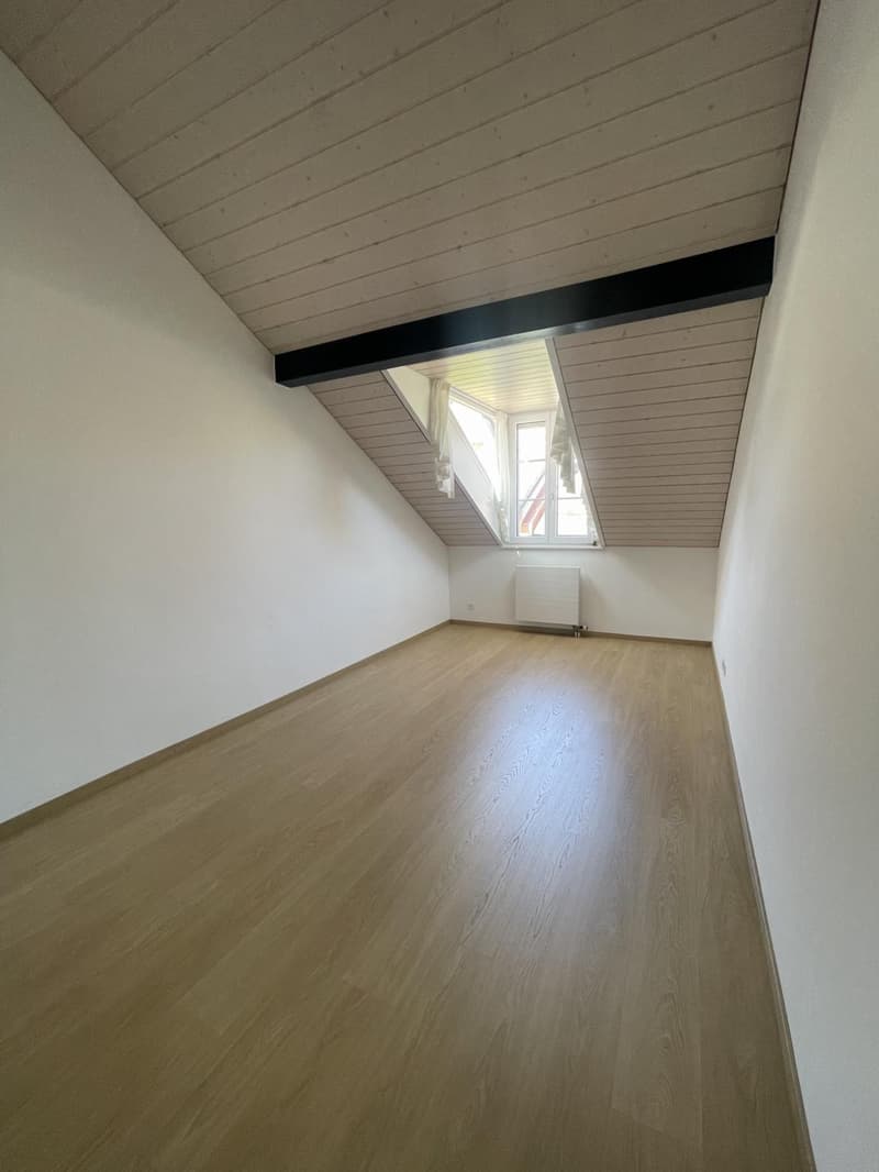 Charmant logement au coeur de la Grand-Rue et à deux pas du lac (10)