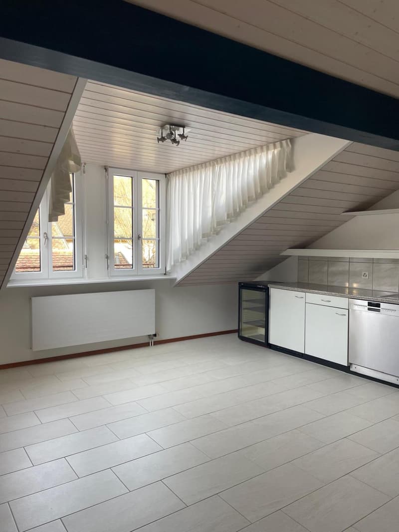 Charmant logement au coeur de la Grand-Rue et à deux pas du lac (2)