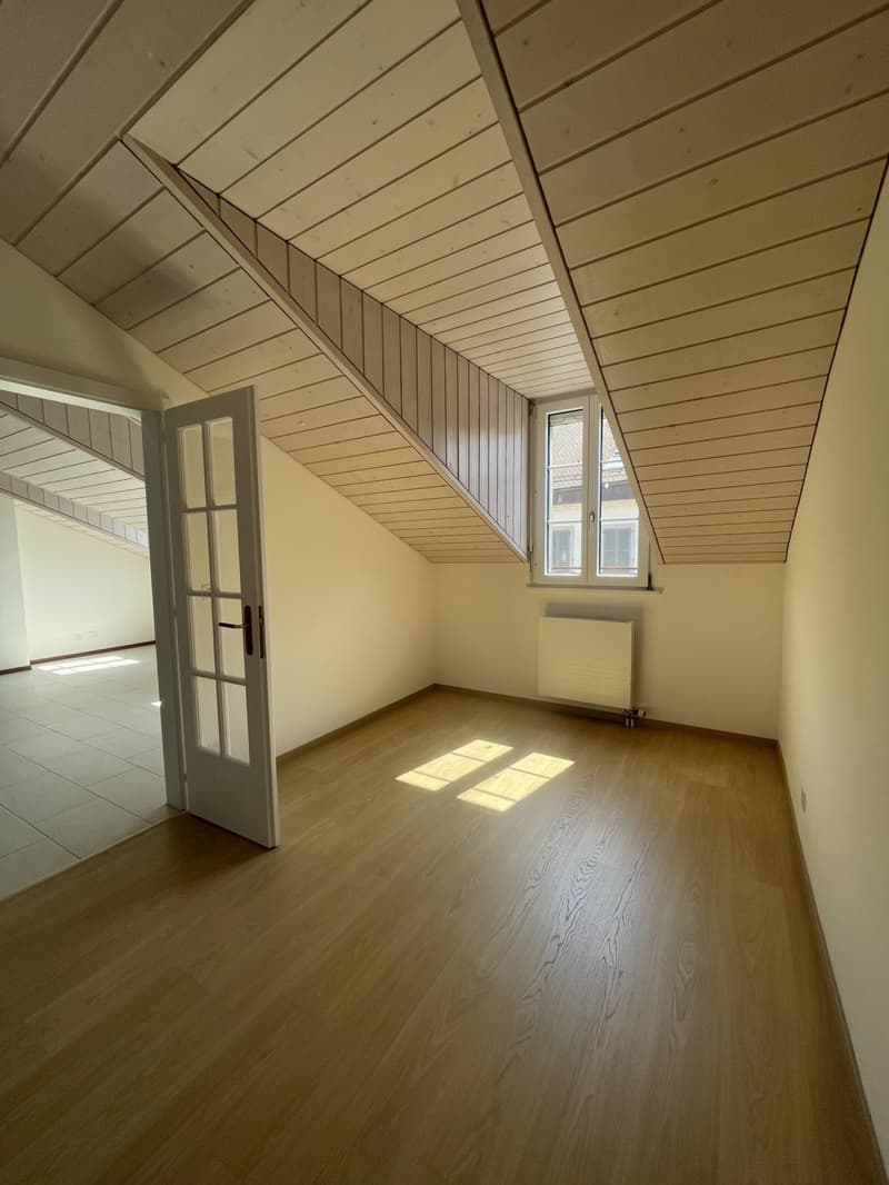 Charmant logement au coeur de la Grand-Rue et à deux pas du lac (9)