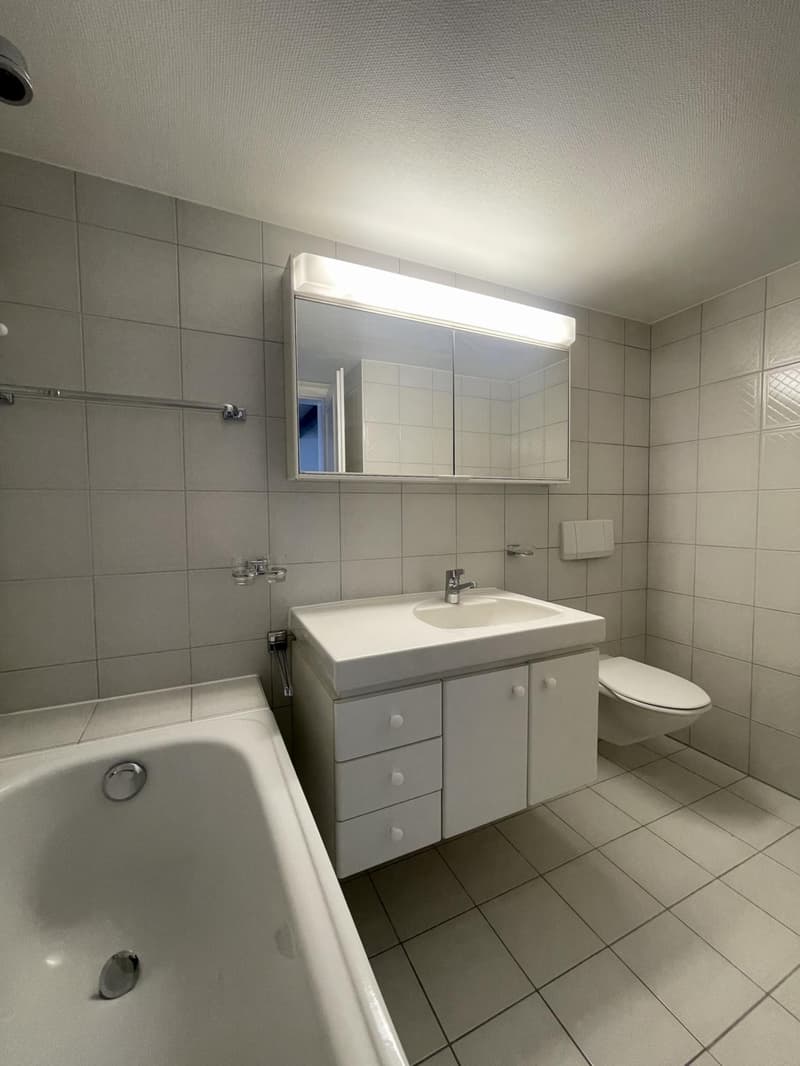 Charmant logement au coeur de la Grand-Rue et à deux pas du lac (7)