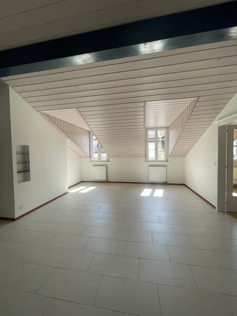 Charmant logement au coeur de la Grand-Rue et à deux pas du lac (8)