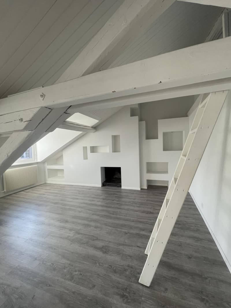 Charmant appartement sous les combles de 3 pièces au 4ème étage (5)