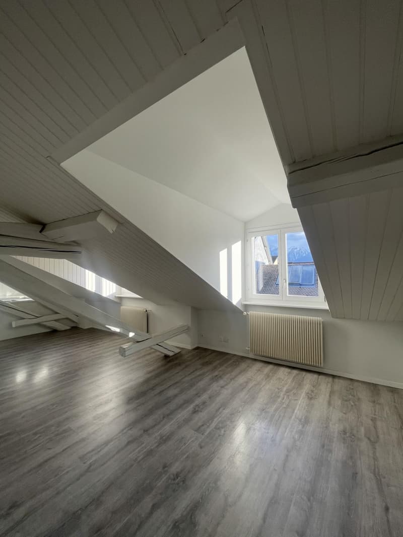 Charmant appartement sous les combles de 3 pièces au 4ème étage (2)