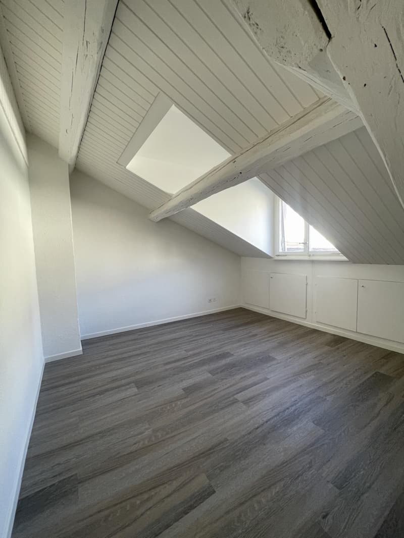 Charmant appartement sous les combles de 3 pièces au 4ème étage (6)