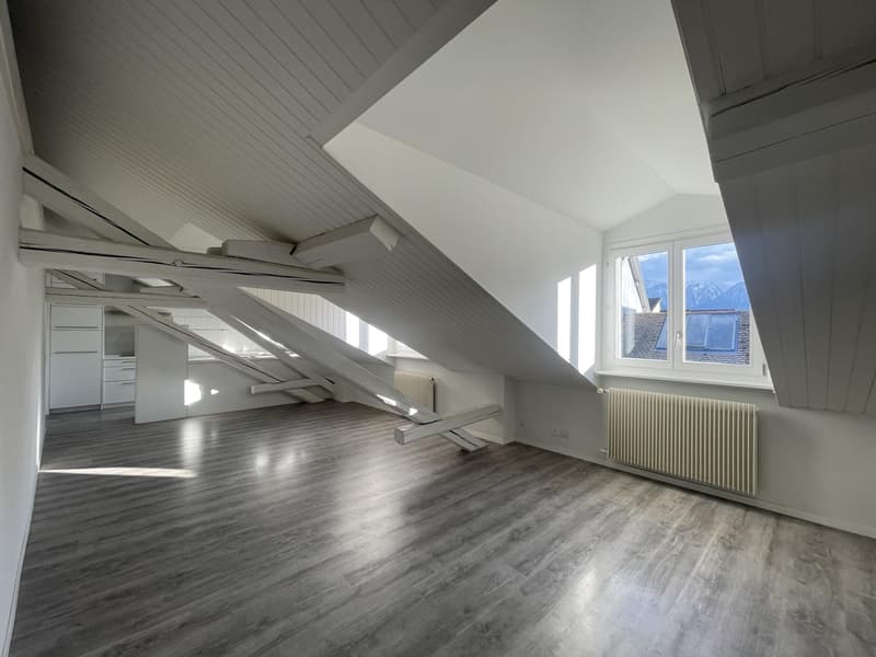 Charmant appartement sous les combles de 3 pièces au 4ème étage (3)