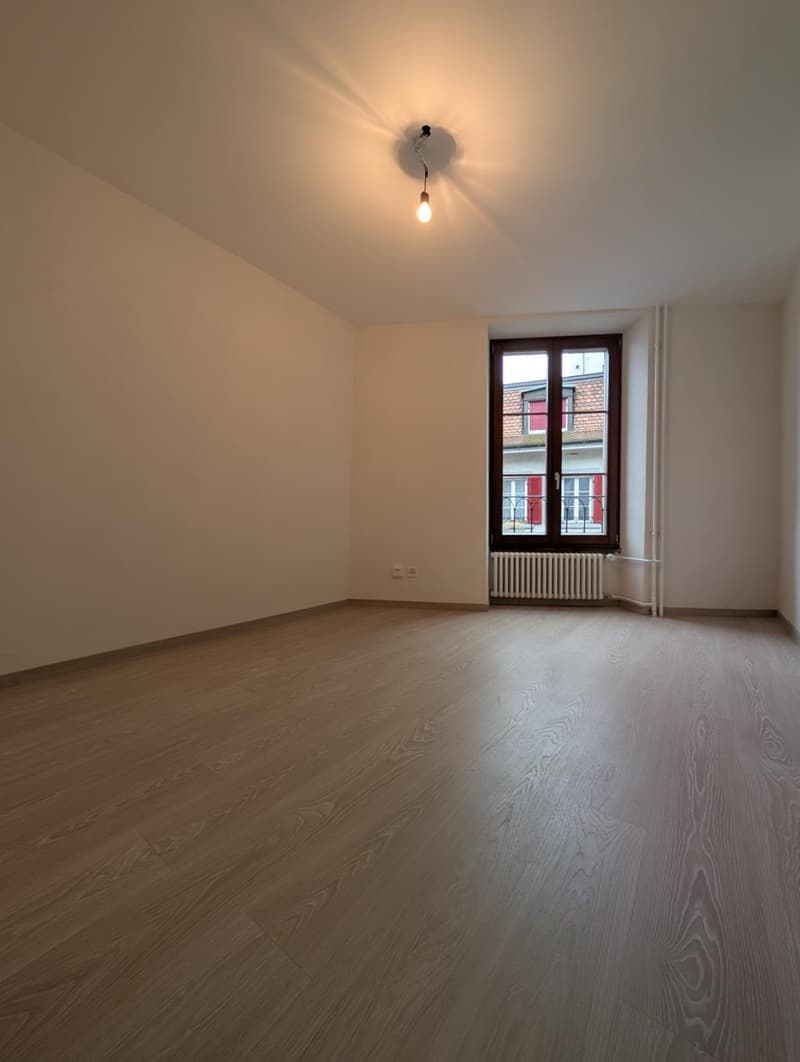 Appartement rénové de 3.5 pièces au 2ème étage (5)