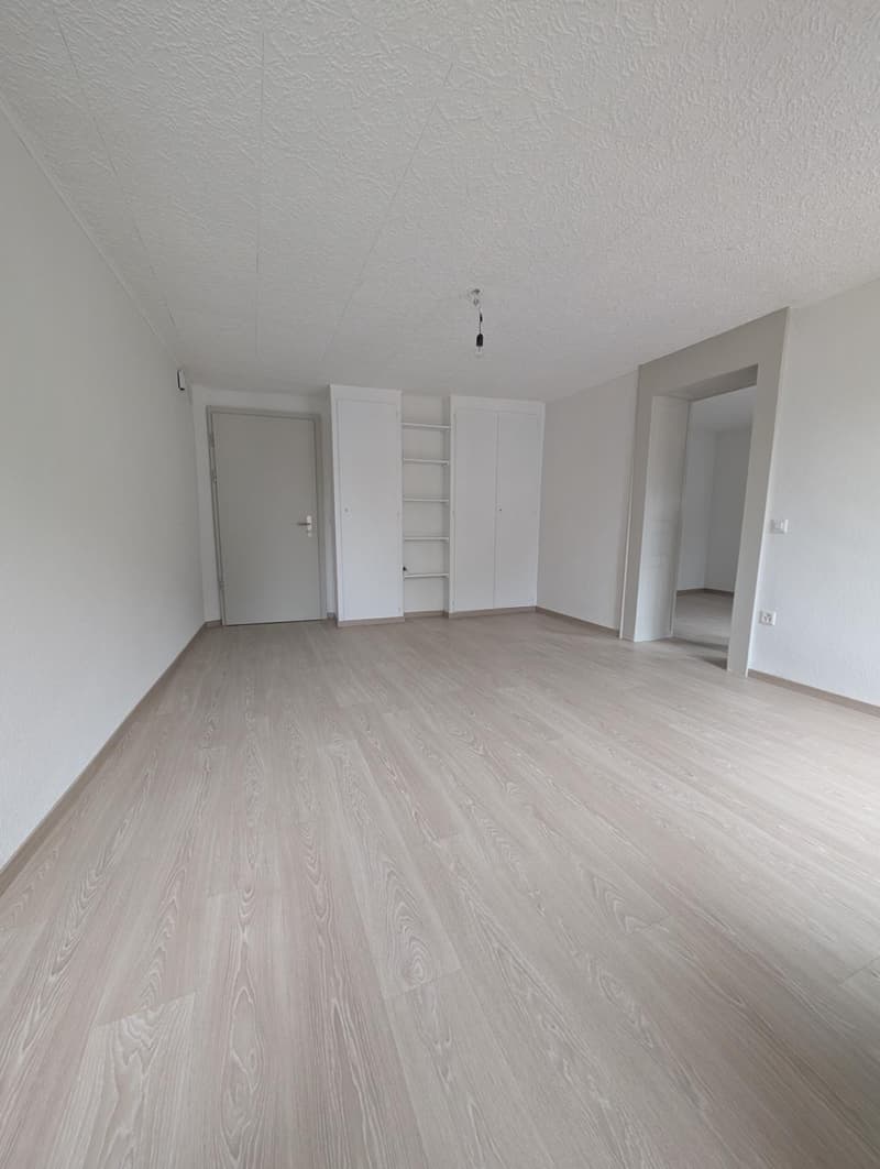 Appartement rénové de 3.5 pièces au 2ème étage (3)