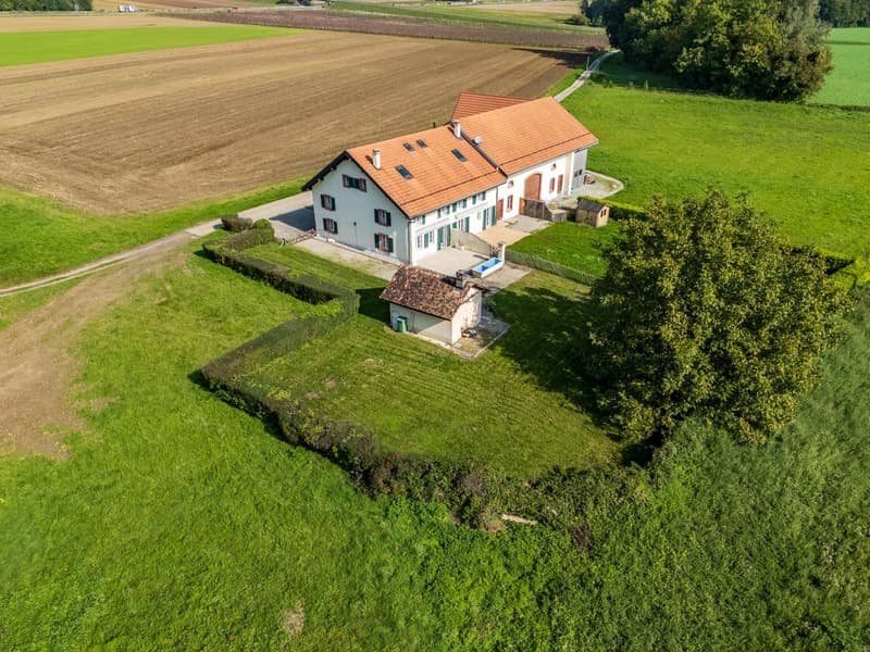 Gilly - Charmante villa mitoyenne avec un beau jardin (6)