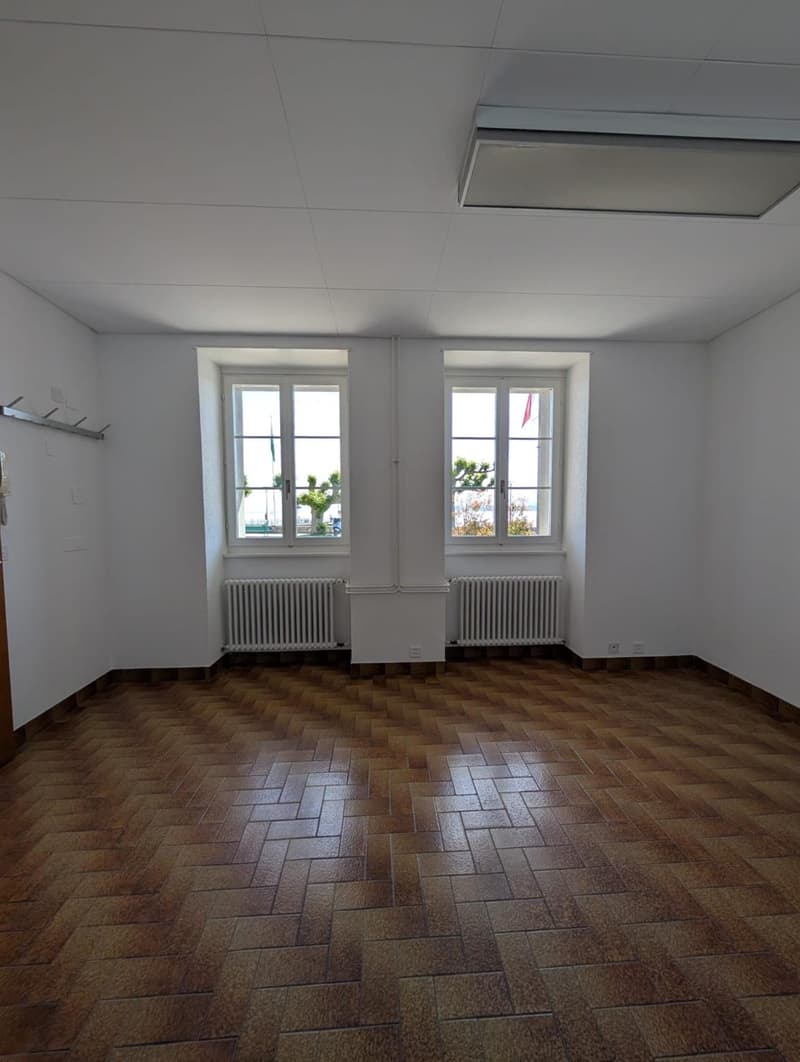 Bureau à deux pas du lac (3)