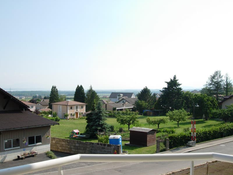 Charmante villa jumelle à Gilly (7)