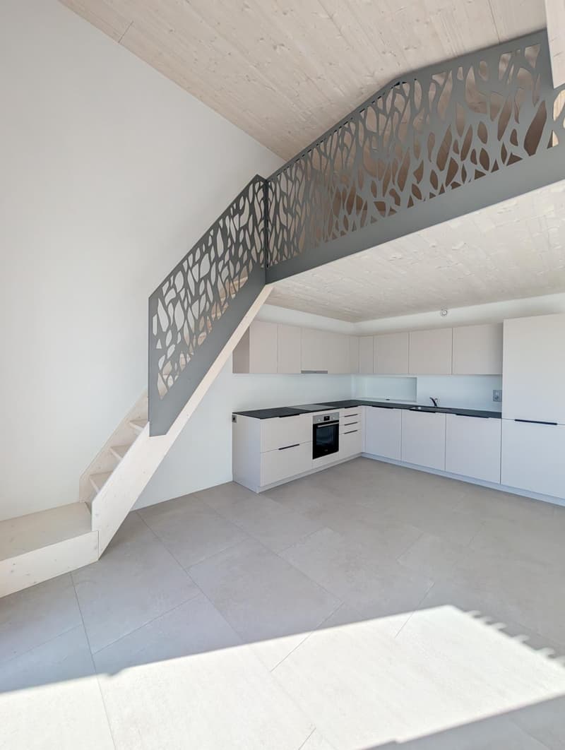 Appartement neuf de 3,5 pièces (2)