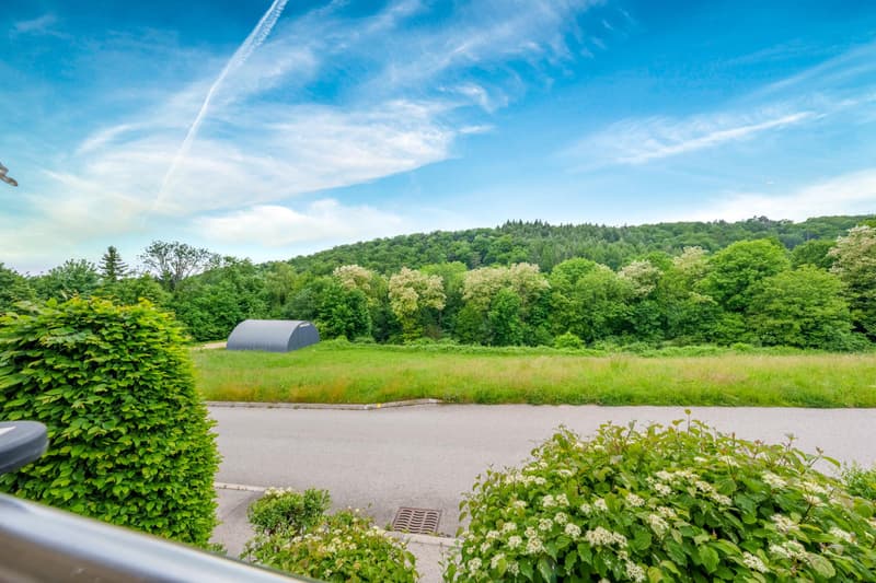 Bel appartement de 3,5 pièces au calme (7)