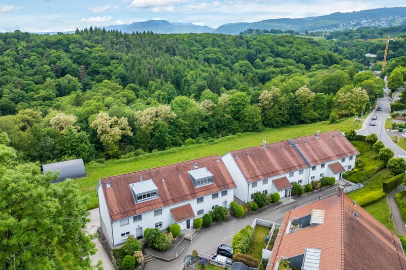 Bel appartement de 3,5 pièces au calme (9)