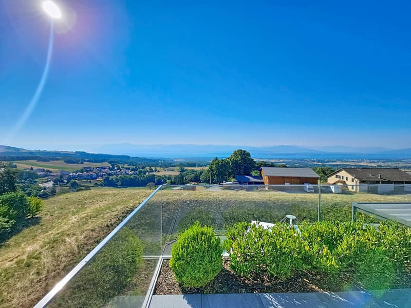 Attique d'exception avec vue panoramique sur le lac et les Alpes (13)