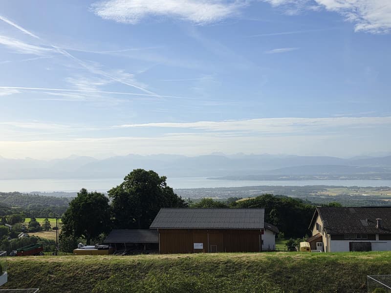Attique d'exception avec vue panoramique sur le lac et les Alpes (3)