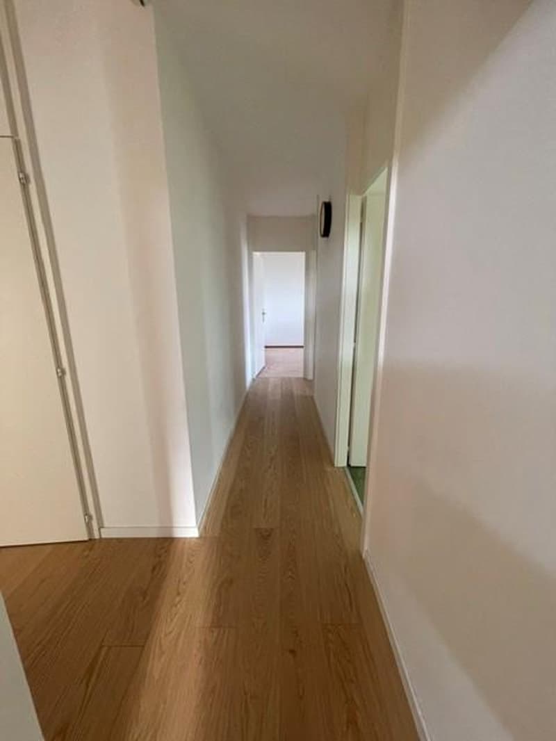 Magnifique appartement de 5,5 pièces (7)