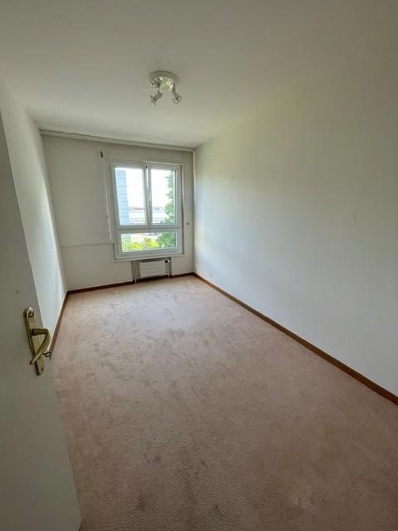 Magnifique appartement de 5,5 pièces (8)
