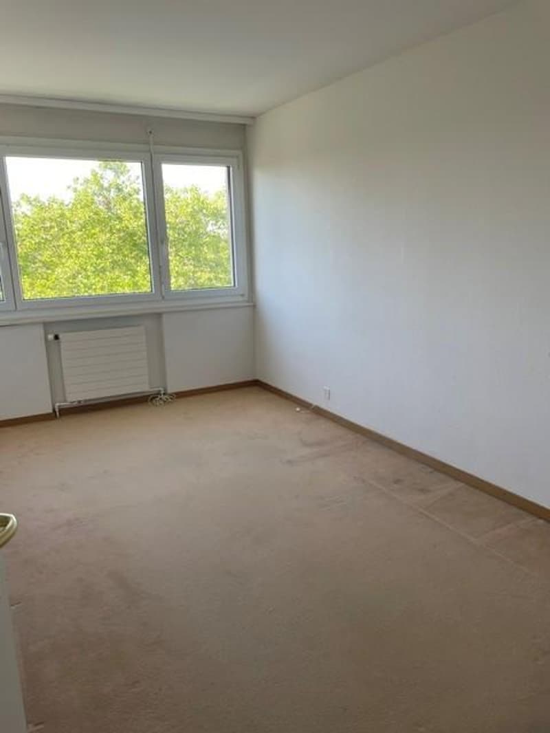 Magnifique appartement de 5,5 pièces (3)