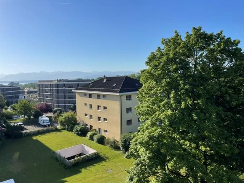 Magnifique appartement de 5,5 pièces (1)