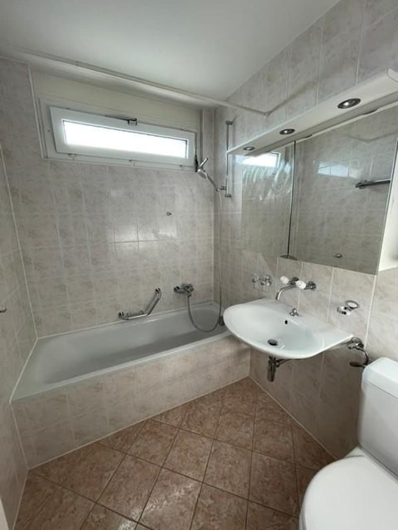 Magnifique appartement de 5,5 pièces (5)