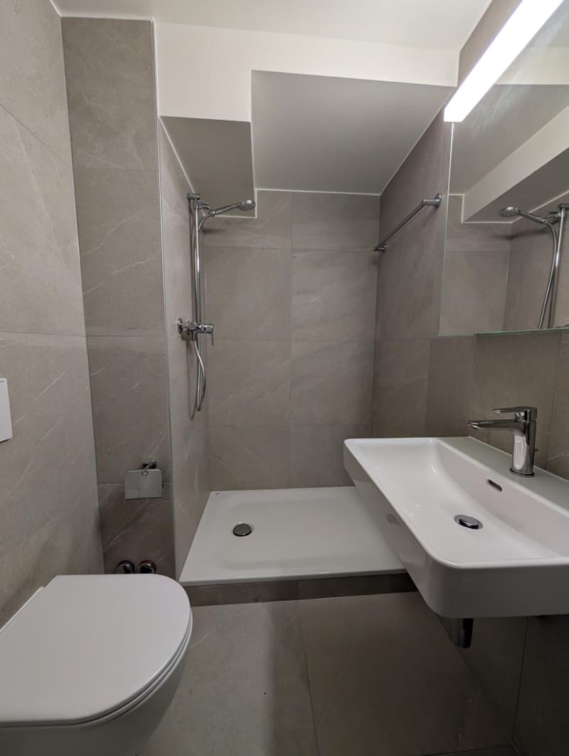 Appartement rénové de 3.5 pièces au 2ème étage (4)