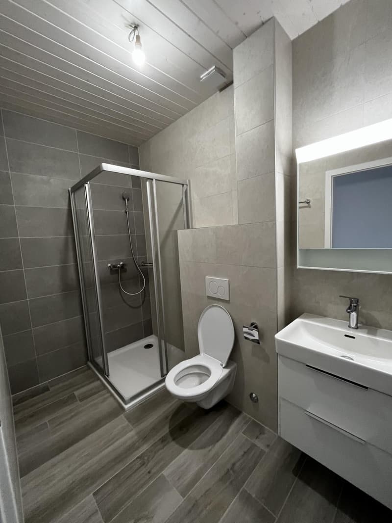 Appartement récent de 3.5 pièces aux combles à Arnex-sur-Nyon (4)