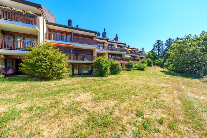 Appartement 2,5 pièces avec terrasse à St-Cergue (1)