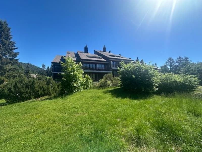Appartement 2,5 pièces avec terrasse à St-Cergue (5)