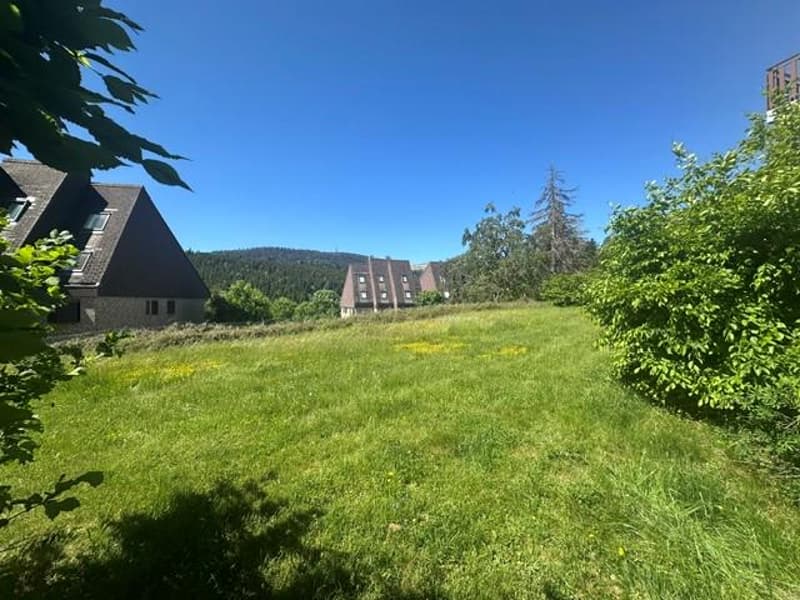 Appartement 2,5 pièces avec terrasse à St-Cergue (4)